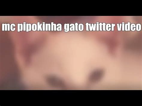 pipokinha mostrando os peito|No vídeo, MC Pipokinha tem os seios lambidos por um gato